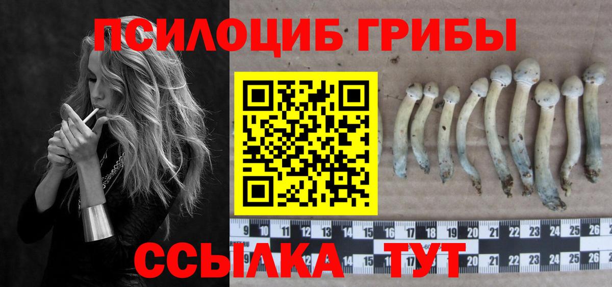 Майский  Псилоцибиновые грибы прущие грибы  Вход с VPN 